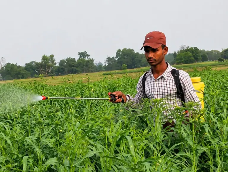 Nepal strengthens action on chemical safety. healthandsafetybuyer.com